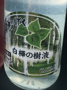 白樺の樹液を飲む 2016/11/11 20:00:00