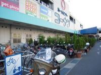 キャリア返答ーお尋ねについて 2010/08/22 23:35:56