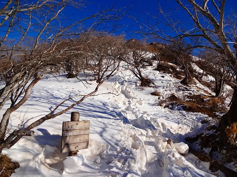 2013年を振り返って その２ お山編