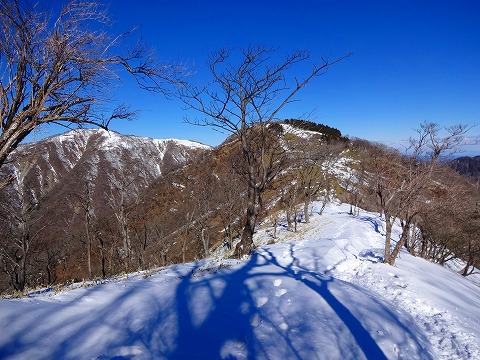 雪の丹沢で歩き初め