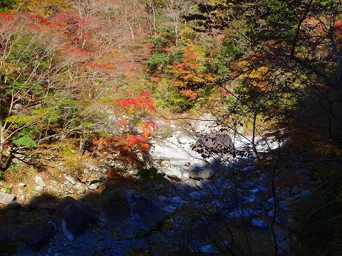 紅葉を愛でにユーシンまで。