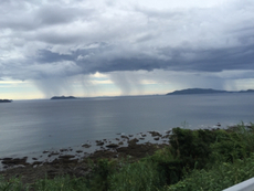 台風の馬鹿野朗ー