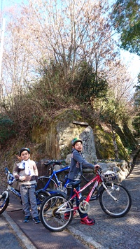 ｻｲｸﾘﾝｸﾞ