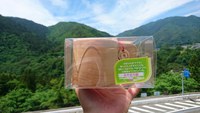 ひのきのｸｸｻ再び 2016/05/31 17:00:00