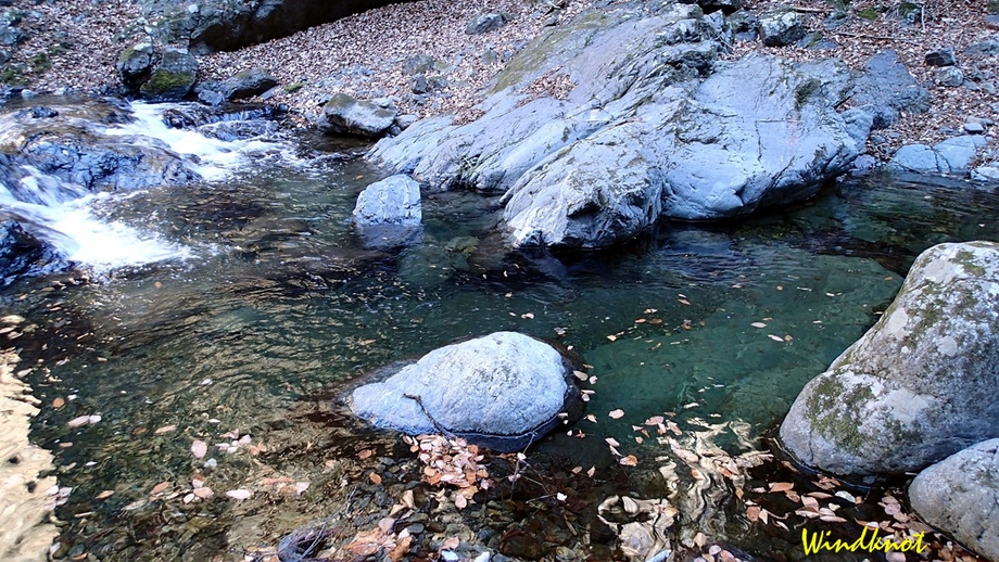 強風に泣かされた