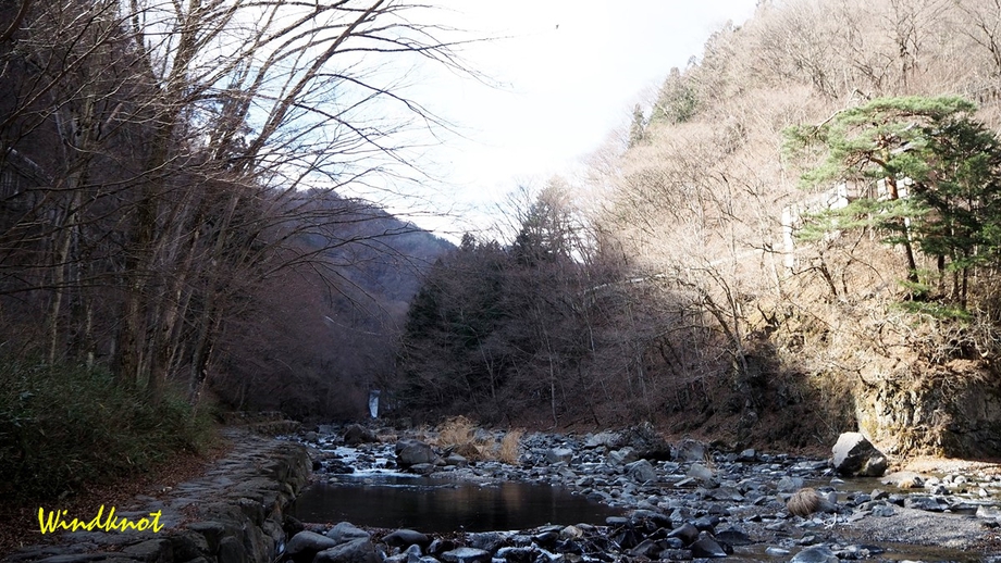 強風に泣かされた