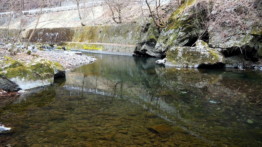 本谷・中ノ沢・キャンプ釣行