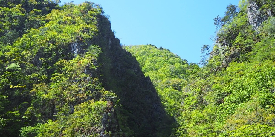 令和初釣行