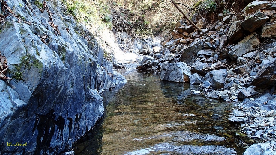 小渓流のヤマメ釣り