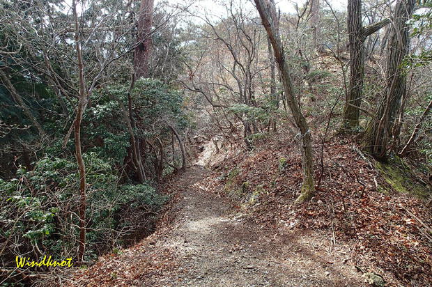 城峯山