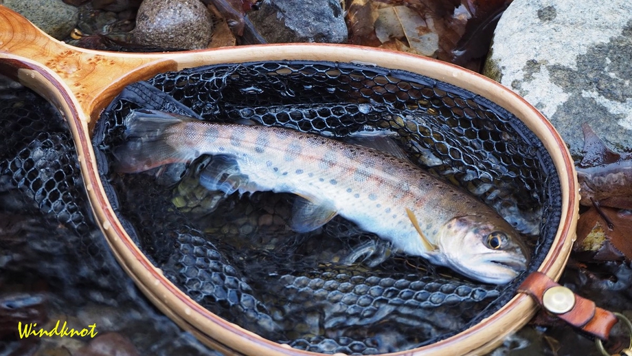 平成最後の解禁釣行