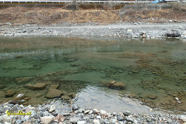 神流川で解禁釣行