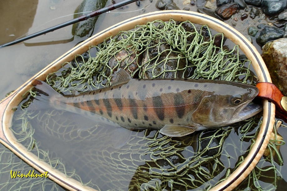 今シーズンを振り返る