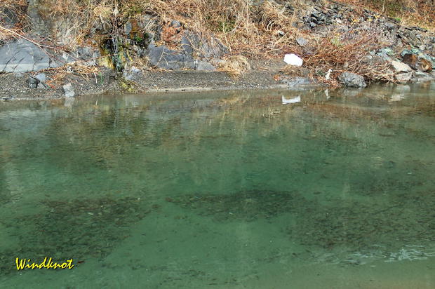 神流川で解禁釣行