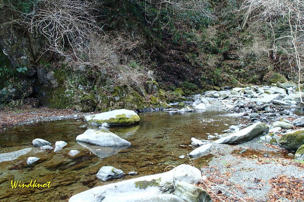 里川で撃沈