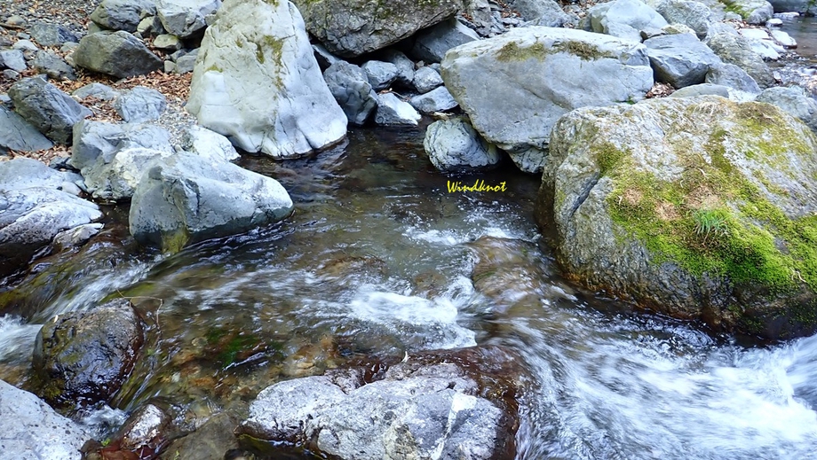 上野村支流探索