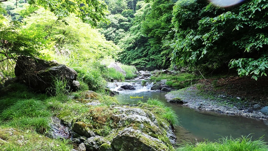 減水＋濁りで大苦戦
