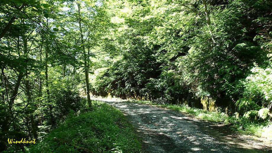 野呂川釣行記　１