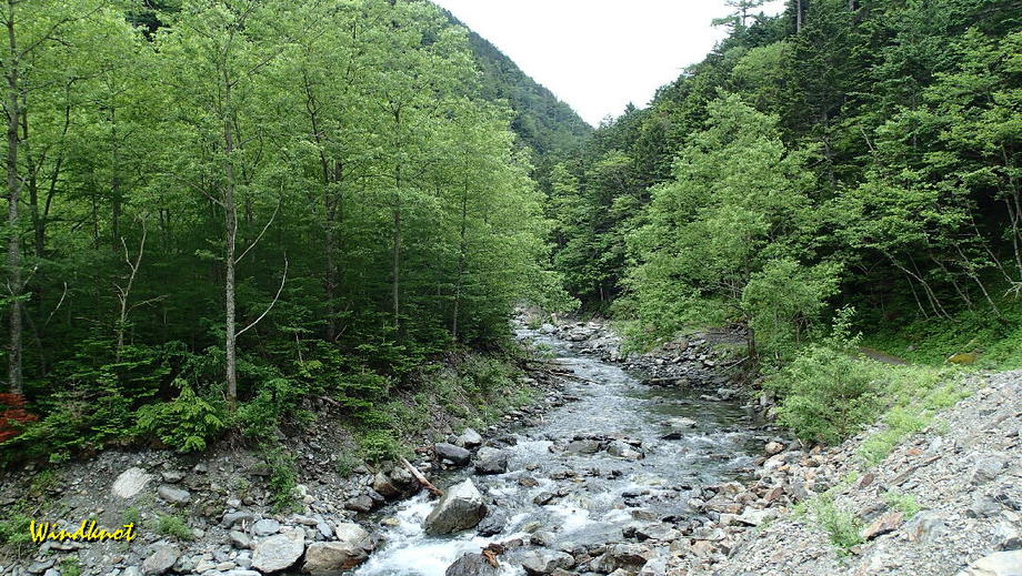 野呂川釣行記　２