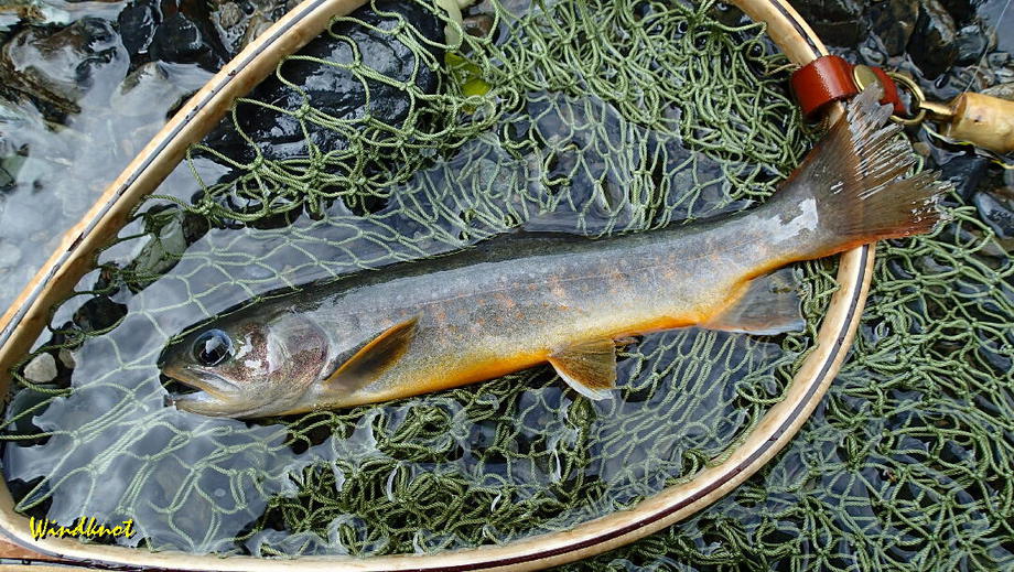 野呂川釣行記　２