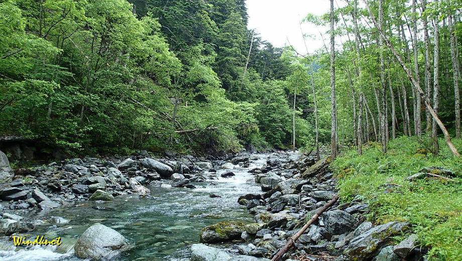 野呂川釣行記　２