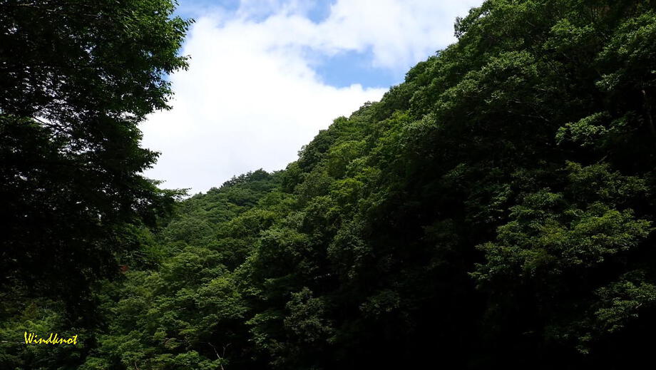酷暑に惨敗