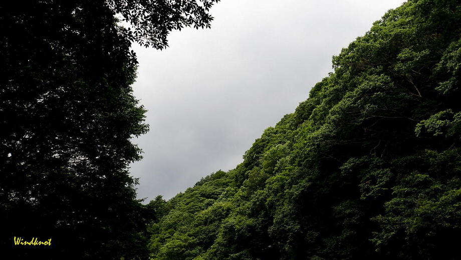 酷暑に惨敗