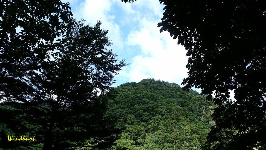今度は増水