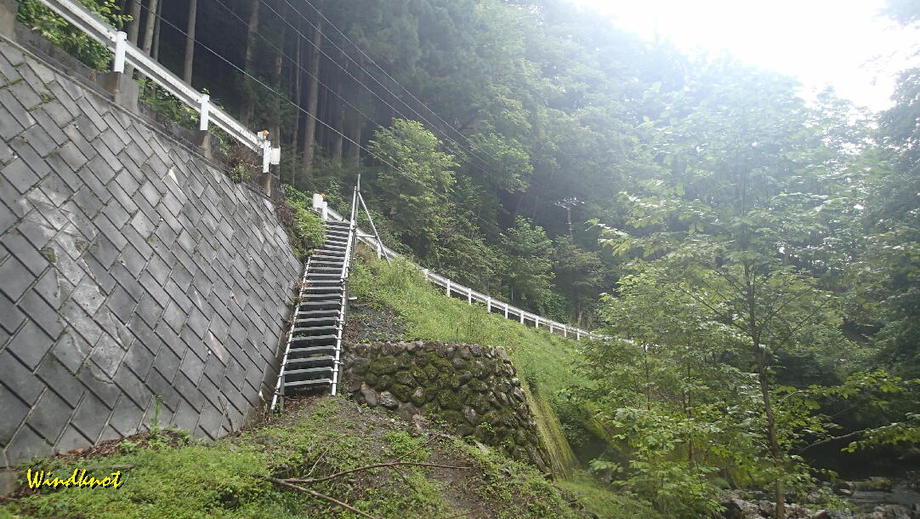 本谷