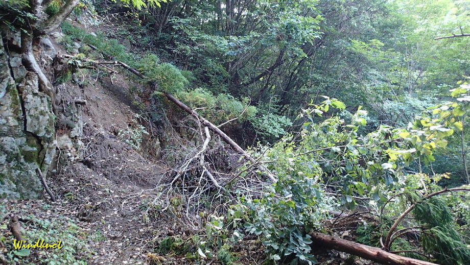群馬の渓流釣り納め
