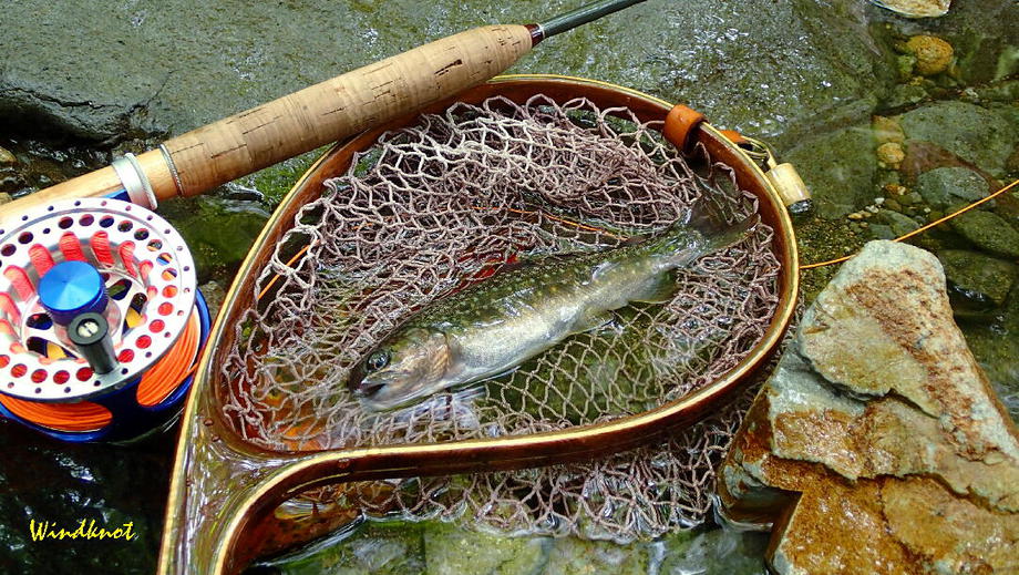 群馬の渓流釣り納め