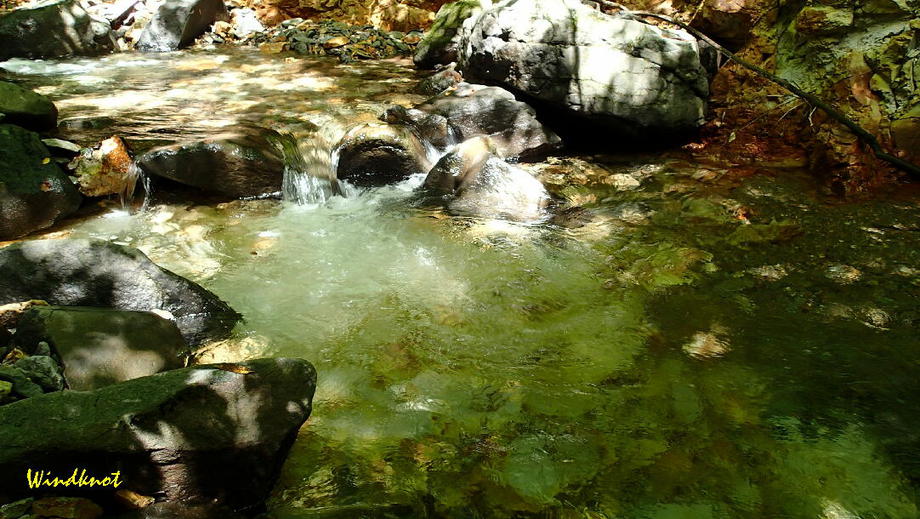 群馬の渓流釣り納め