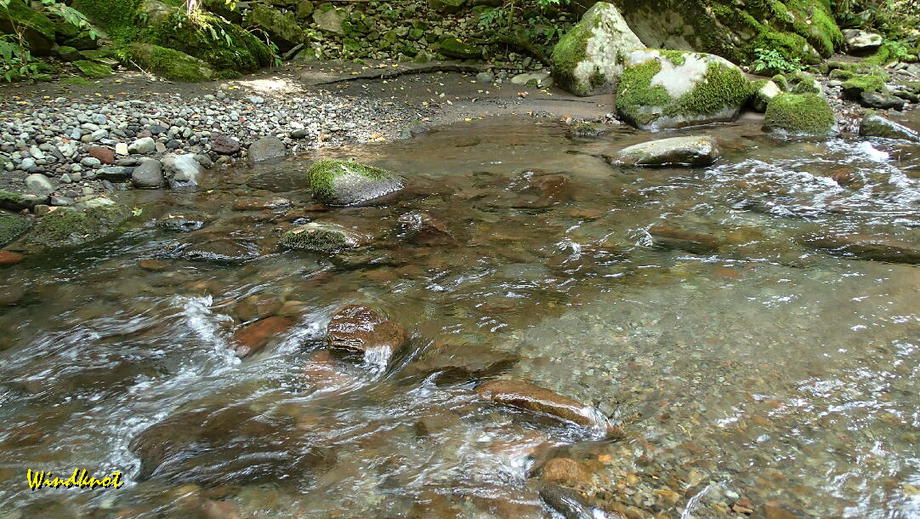 群馬の渓流釣り納め