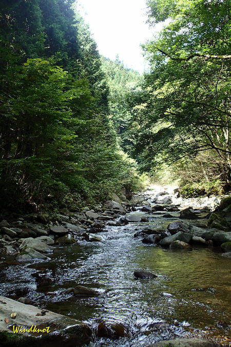 群馬の渓流釣り納め