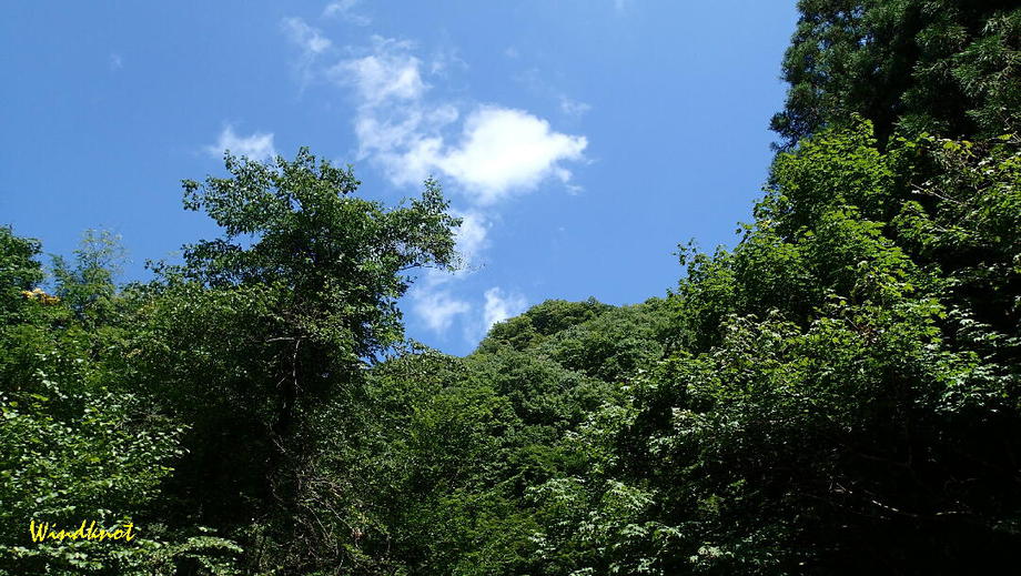 群馬の渓流釣り納め