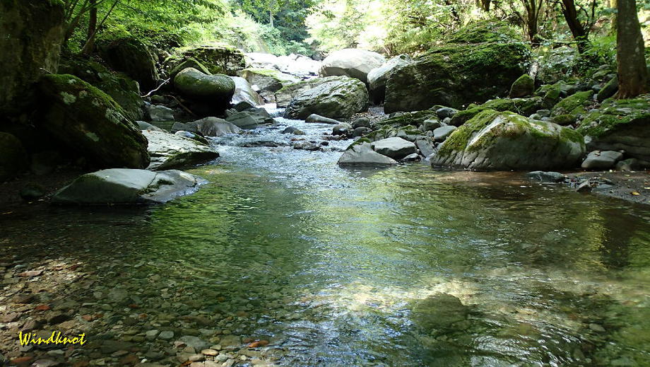 群馬の渓流釣り納め