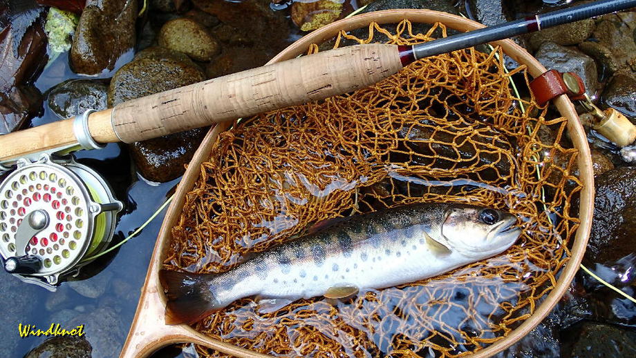 群馬の渓流釣り納め
