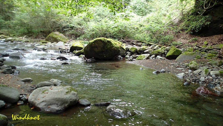 今年初めての川でまさかの〇〇