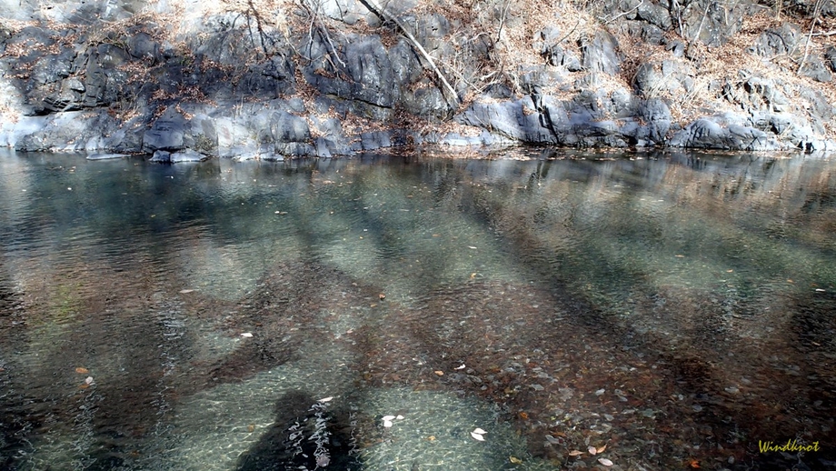 上野村冬季釣り場