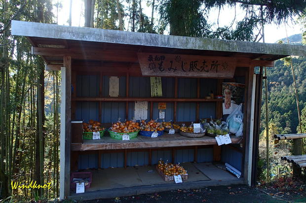 大霧山で虹を見た