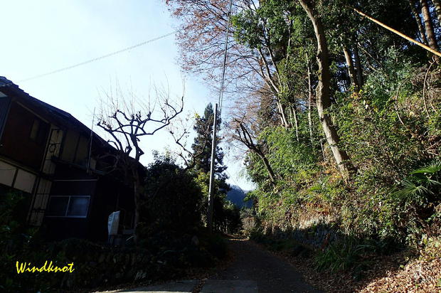 大霧山で虹を見た