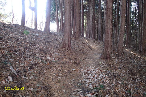 大霧山で虹を見た