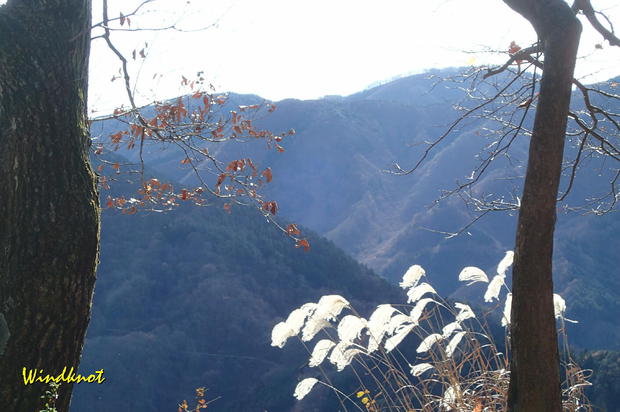 大霧山で虹を見た