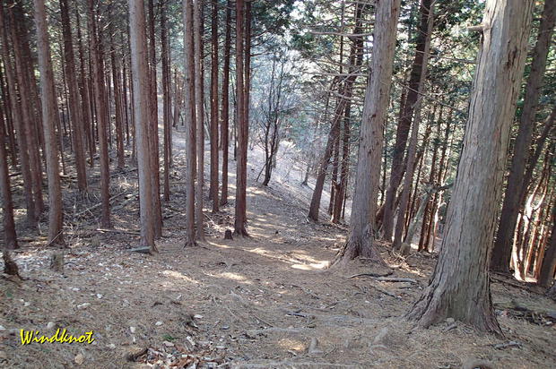 大霧山で虹を見た