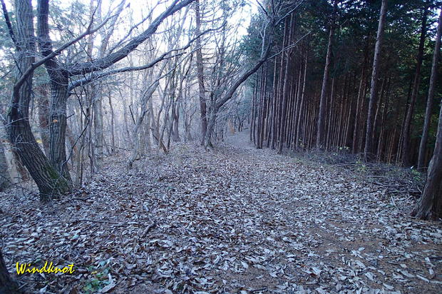 大霧山で虹を見た