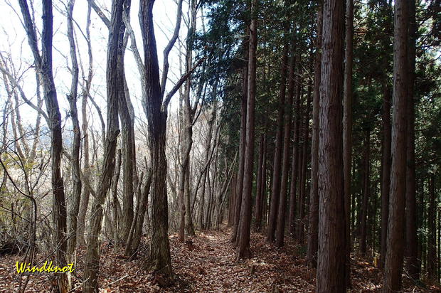 大霧山で虹を見た