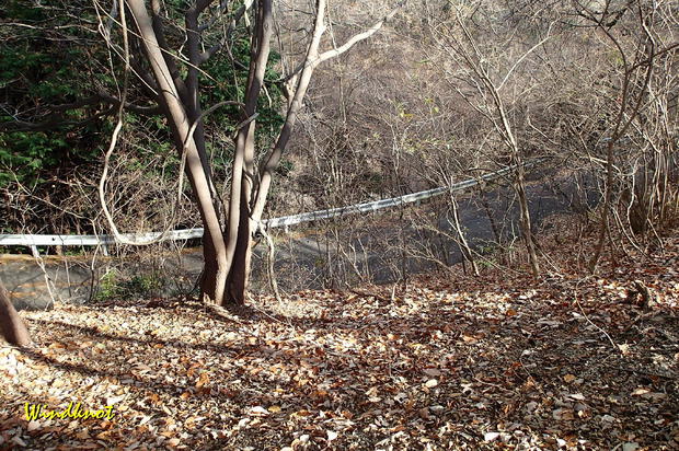 大霧山で虹を見た