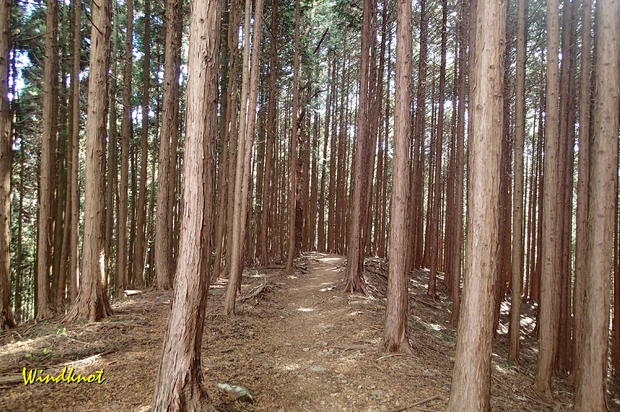 大霧山で虹を見た