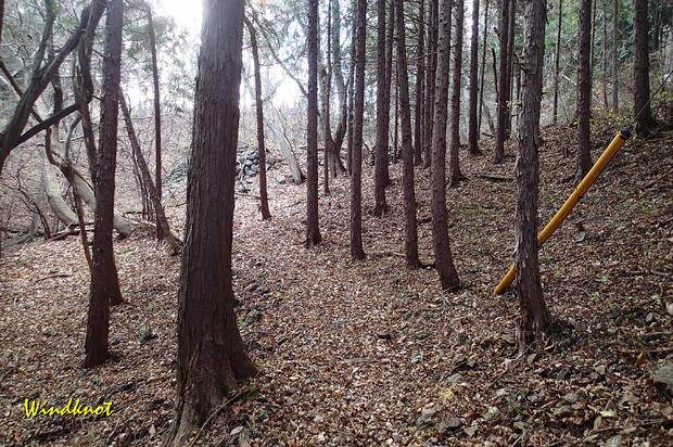 大霧山で虹を見た