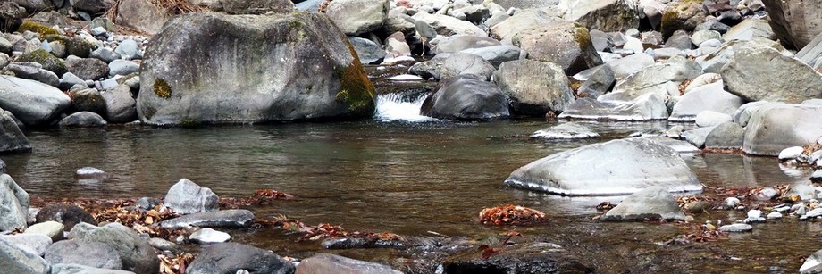 平成最後の解禁釣行